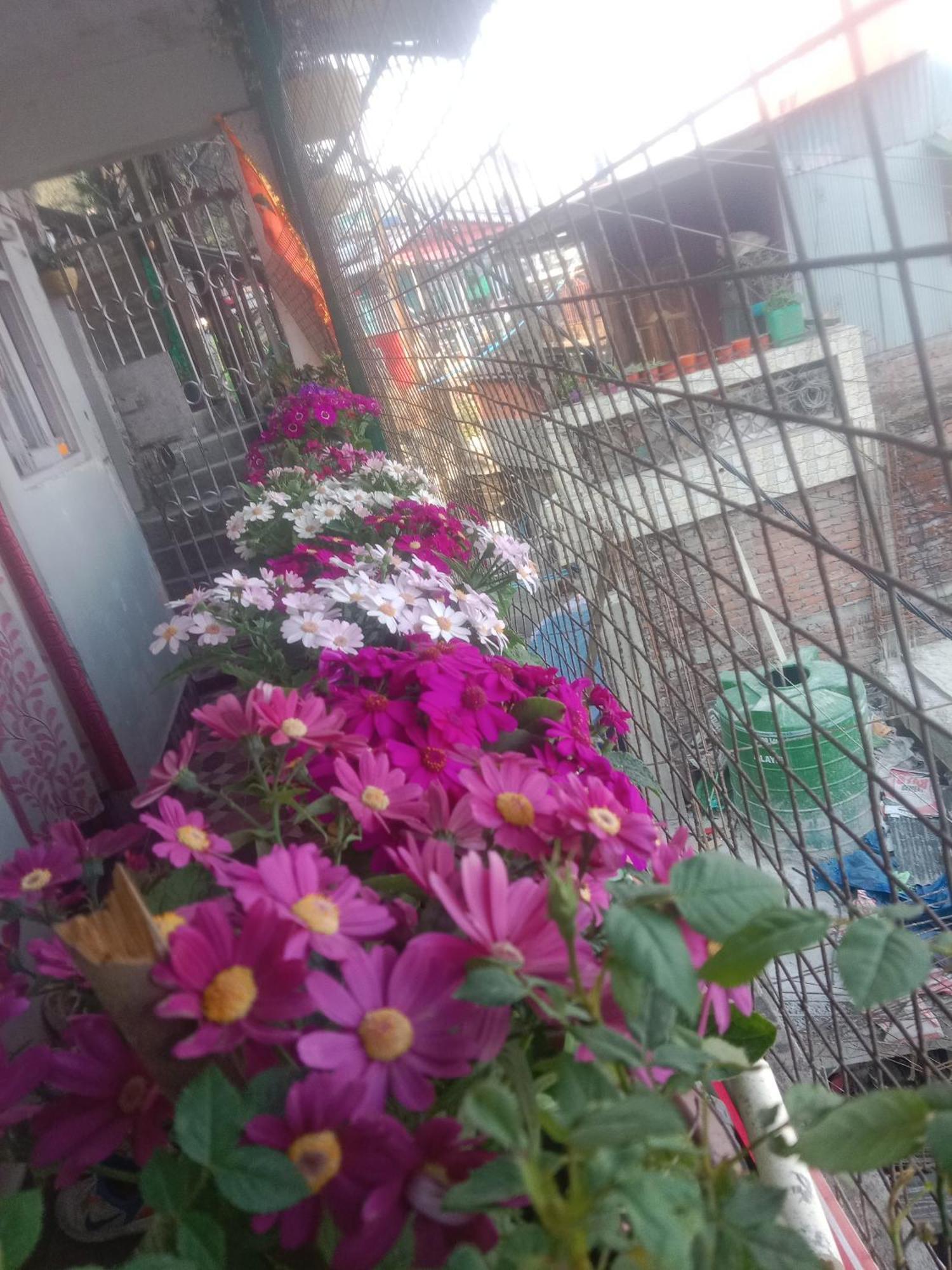 Beverly Hills Home Stay Darjeeling (West Bengal) Exterior foto